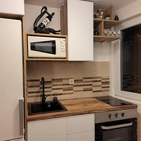 Milan&jelena Apartement Daire Belgrad